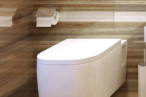 獨家丨優家智能獲洪泰智造百萬級種子輪融資,智能馬桶熱度攀升