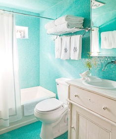 2.5㎡衛(wèi)浴狂想曲 方寸之間的靈感與革新